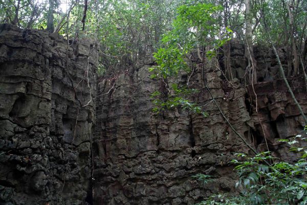 Siju Caves and Rock Formations