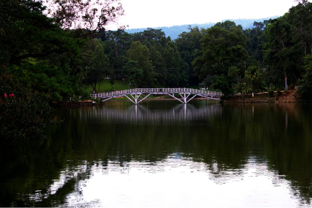 Ward's Lake