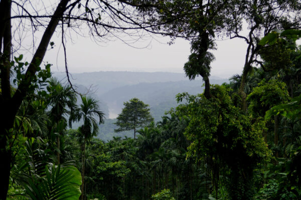 View of Simsang River from Siju town View of Simsang River from Siju town
